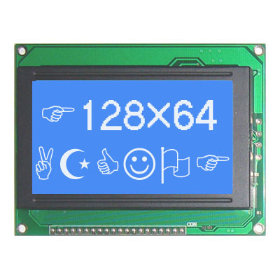 LCD MODULE