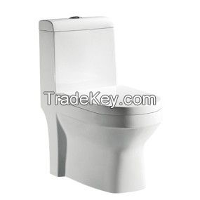 China sanitary ware washdown one-piece toilet