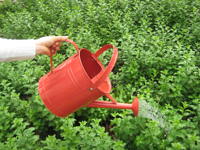 Watering Can