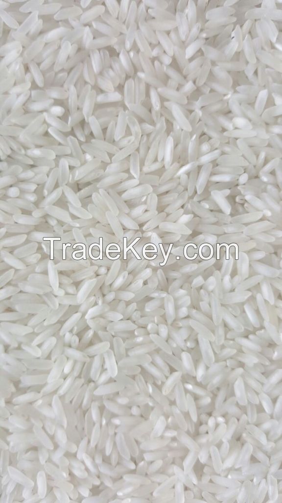 Rice Grain