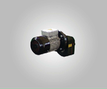 Gear Motor