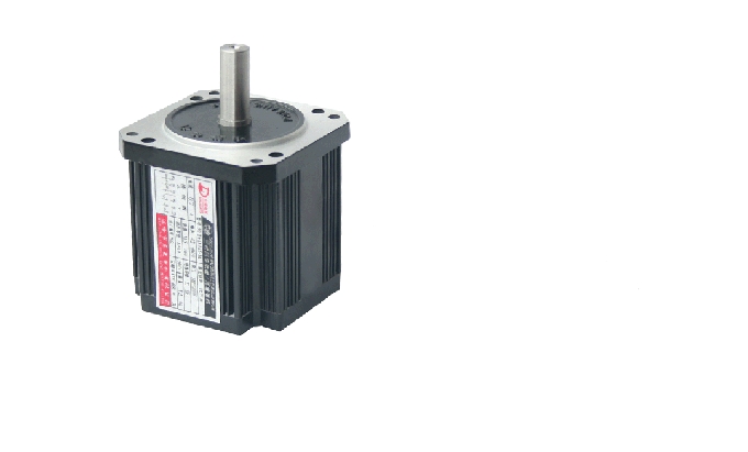 AC synchronous motor