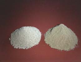 diatomaceous earth