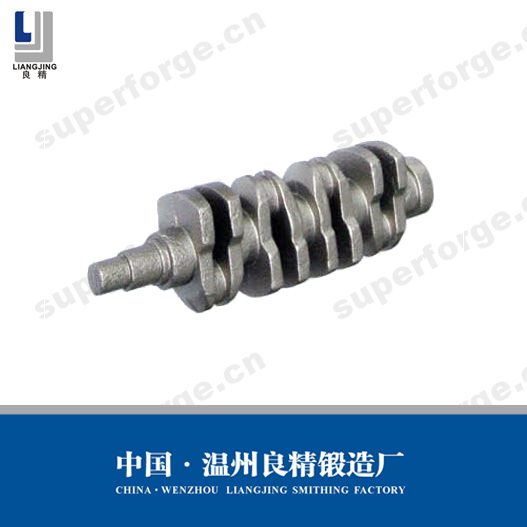 Crankshaft Mould Forging Parts