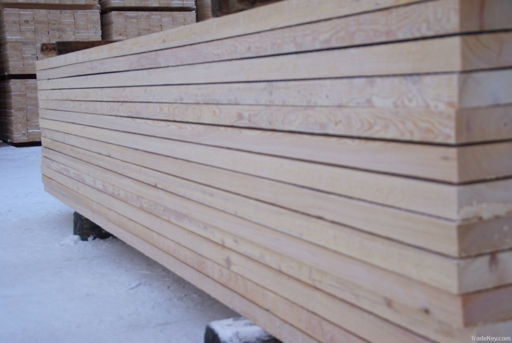 larch siberian boards