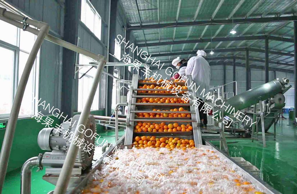 Automatic fruit spraying and brushing washing machine