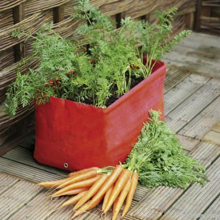 Carrot planter bag