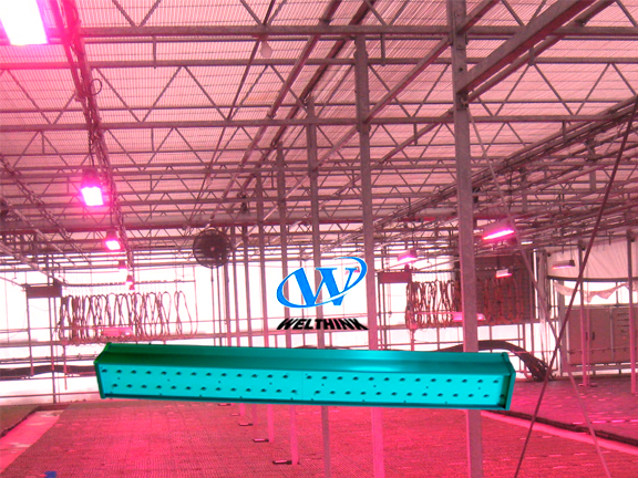 LED grow light 90W, 100W, 150W, 200W, 300W