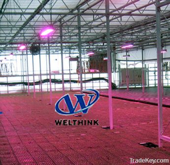 LED grow light 90W, 100W, 150W, 200W, 300W