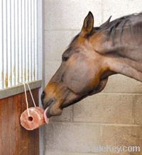 Animal Licking Salt