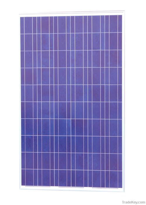 solar panel poly 230w