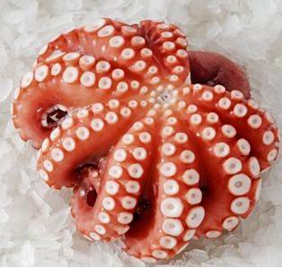 FROZEN  BOILED OCTOPUS