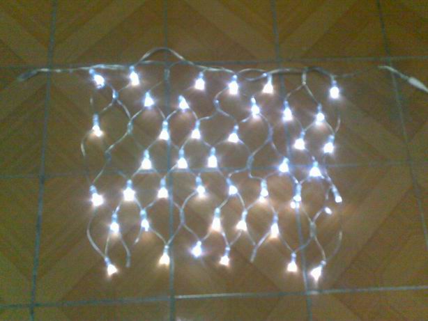 LED net light