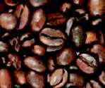 Export Arabica Coffee Beans | Arabica Coffee Bean Importer | Arabica Coffee Beans Buyer | Buy Arabica Coffee Beans | Arabica Coffee Bean Wholesaler | Arabica Coffee Bean Manufacturer | Best Arabica Coffee Bean Exporter | Low Price Arabica Coffee Beans | B