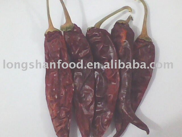 american red chilli