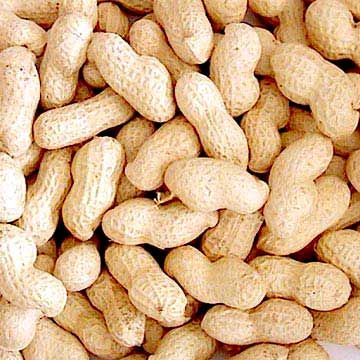 Groundnuts (Peanuts)