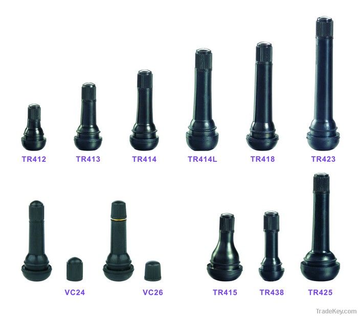 Tubeless Snap-in Valves