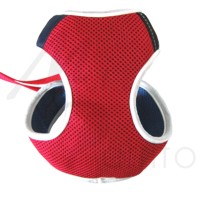 Red Air Mesh Harness