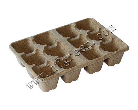 Biodegradable Nursery Tray