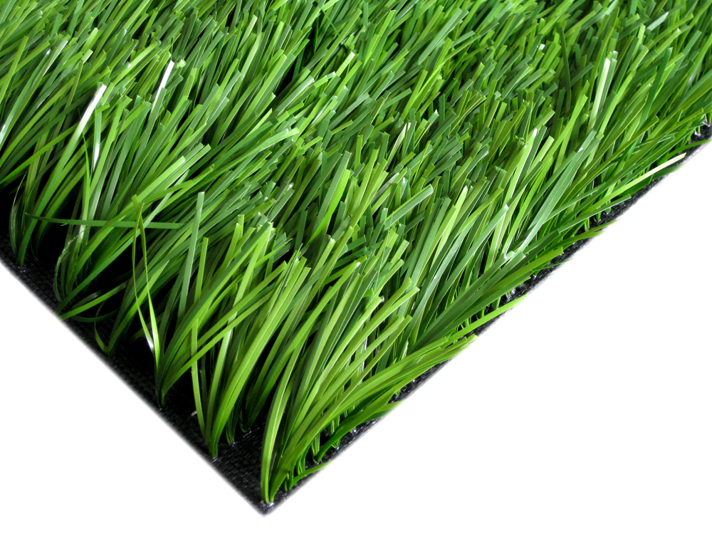 Soccer grass DSO