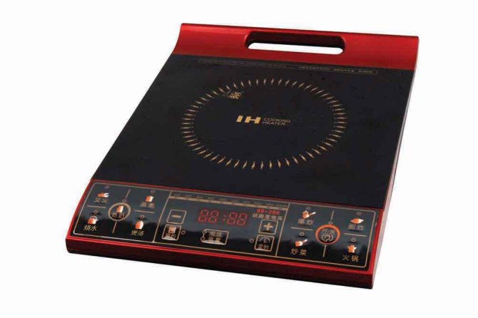 Induction Cooker F209