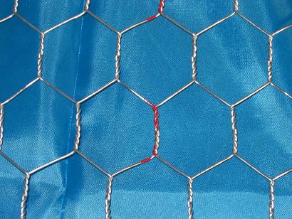 Hexagonal Wire Netting