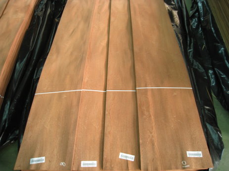 Sapele Veneer