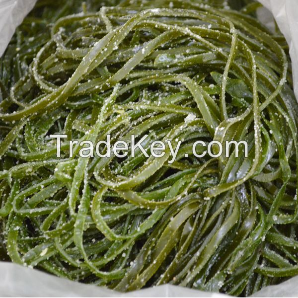 Wholesale Frozen Kelp Seaweed Knot Salted Laminaria Seaweed Cut