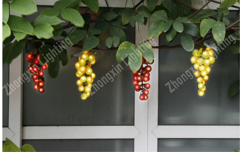 Grape Lighting String