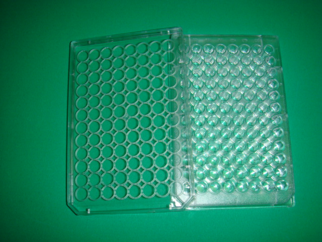 Elisa Plates