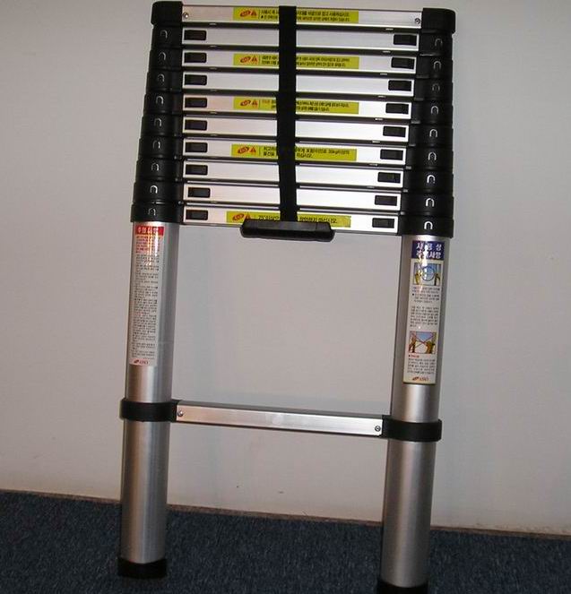 Telescopic Ladder