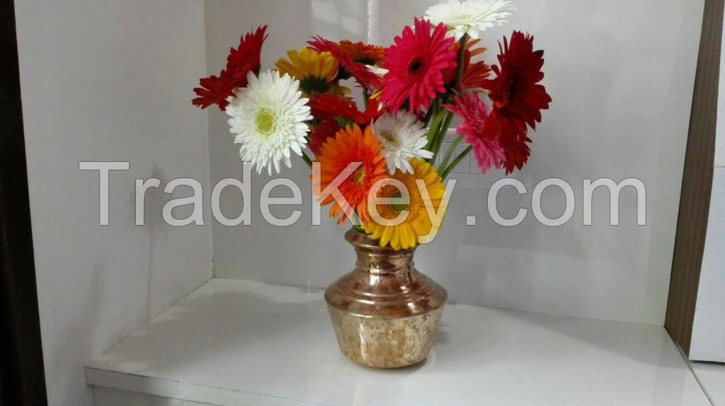 Gerbera Cut Flowers