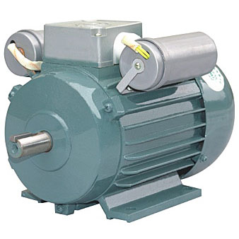 YL Series Induction Motor