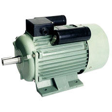 YL Series Induction Motor