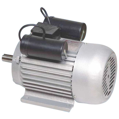 YL Series Induction Motor