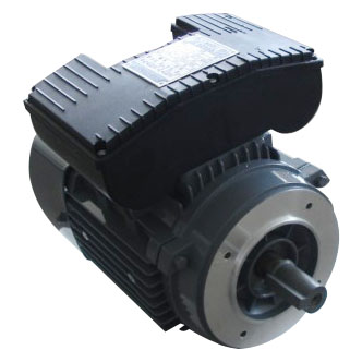 YL Series Induction Motor