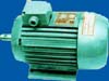 electric motor