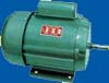 electric motor