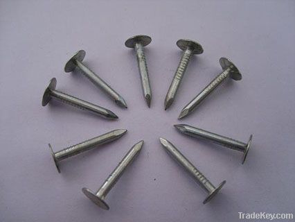 Roofing Nails