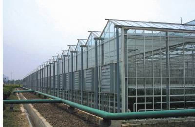 Greenhouse polycarbonate