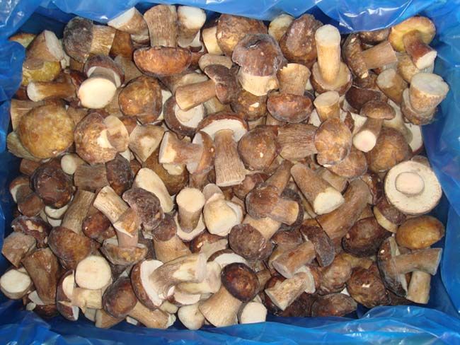 2013 New Crop Frozen Boletus Edulis