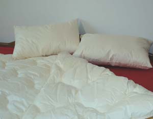 Inlet Pillows