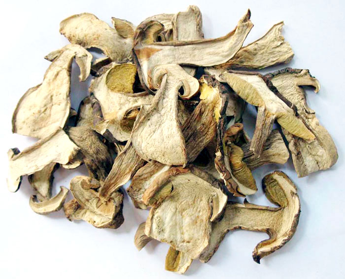 Dried Boletus Slices