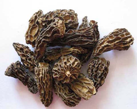 Dried Morel Mushroom