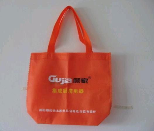 Non Woven Shopping Bag