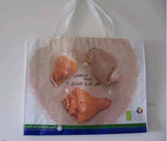 PP Shopping Bag