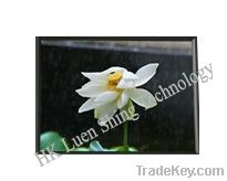 Sell 4.5 inch TFT-LCD Panel