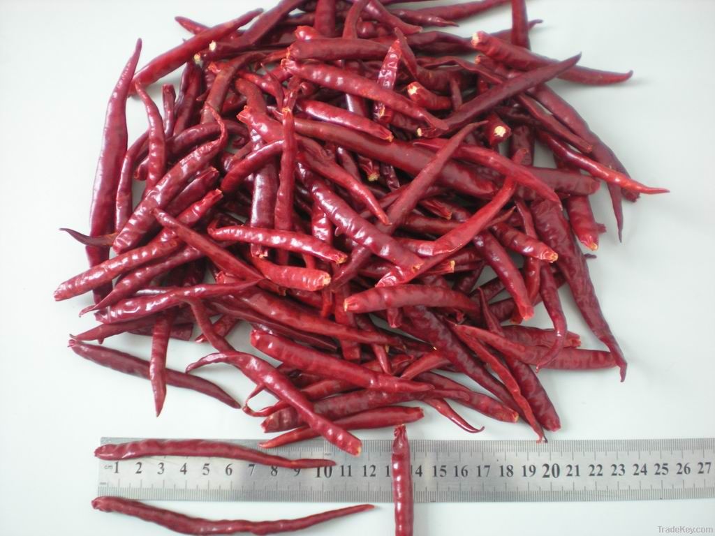 yunnan chilli 2011 new crop