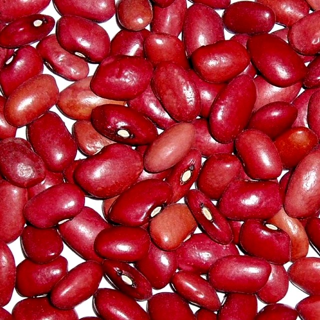 small red kidney bean