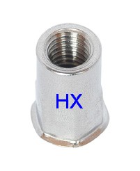 Stainless Steel  Hex Body Rivet Nut